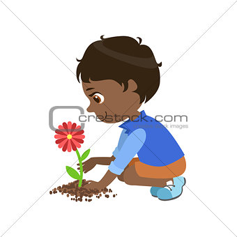 Boy Planting A Flower