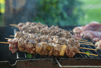 Tasty skewers on the grill, close-up.