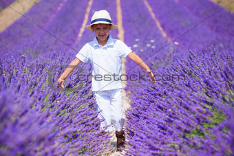 Boy in lavender summer field
