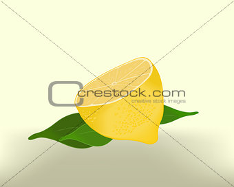 Lemon sliced with leaves