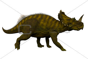 Centrosaurus Side Profile