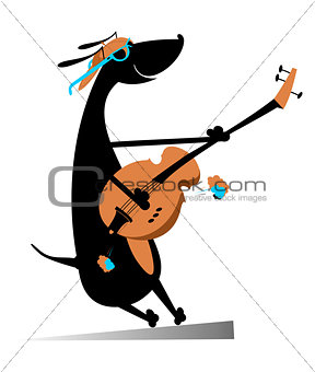 Dog is playing guitar