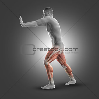 3D male figure in standing gastroc-nemius stretch