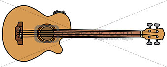 Acoustic fretless bass guitar