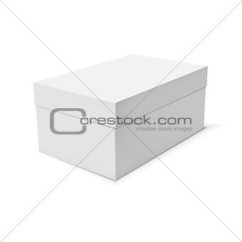 Blank paper or cardboard box template