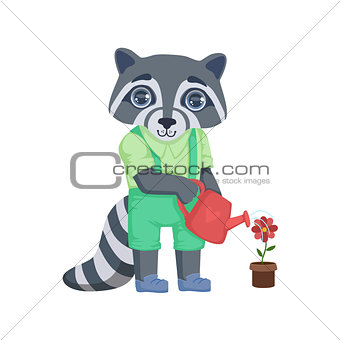 Boy Raccoon Watering The Flower