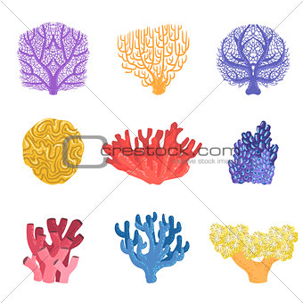 Different Types Of Tropical Reef Coral Set