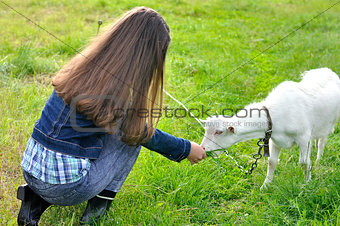 Girl with goat on a meadow