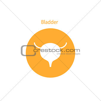 Vector bladder icon