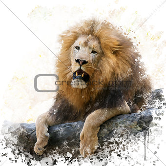 Lion on a Rock watercolor