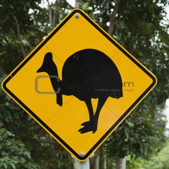 Cassowary crossing sign.
