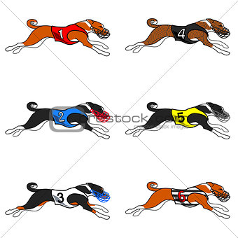 basenji dog racing set 01