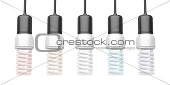 Light bulbs with different color temperatures 