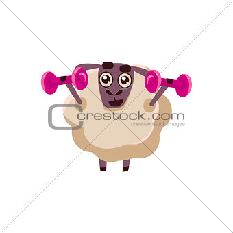 Sheep Training In Gym