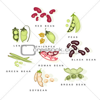Bean Cultures With Names Set