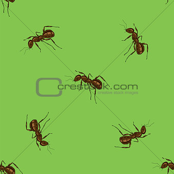 Seamless Animal Pattern. Ant Isolated