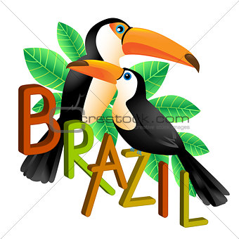 Two colorful toucans sitting on a branch. Brazil