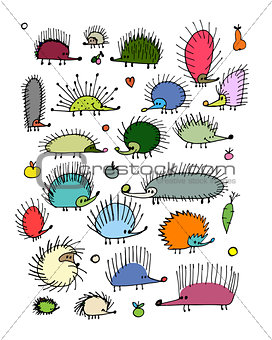 Funny hedgehog collection, sketch for your design