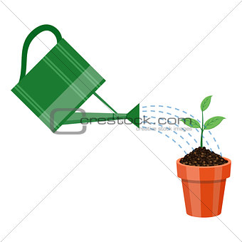Watering can and plant in the pot.