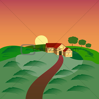 Farm with the house, barn and green seeding field.