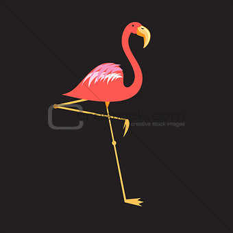 A beautiful red flamingo