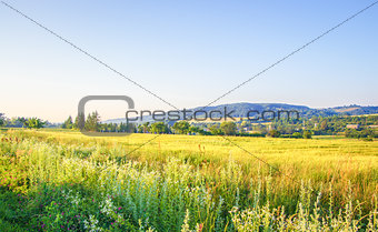 Realistic rural landscape