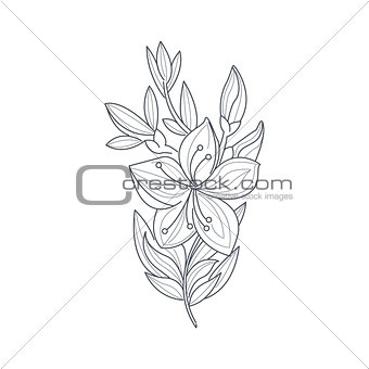 Jasmine Flower Monochrome Drawing For Coloring Book