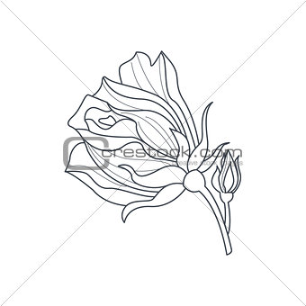Rose Bud Monochome Drawing For Coloring Book