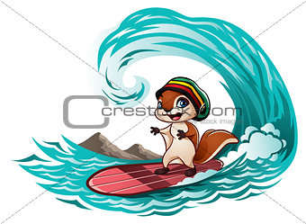 Squirrel riding the waves