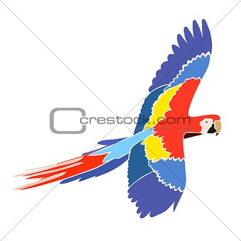Parrot Ara in bright colors