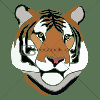 Tiger face on green