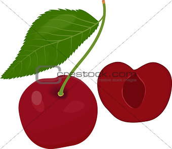 Ripe red cherry berries with leaves. Vector