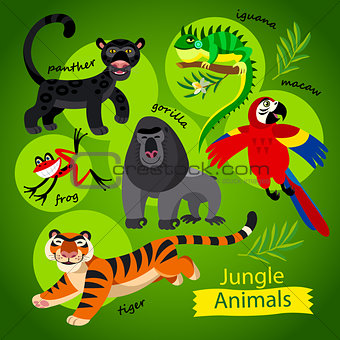 cute wild animals of Jungle.