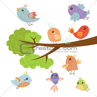 Different Cute Small Birds Sitting And Flying Around Tree Branch