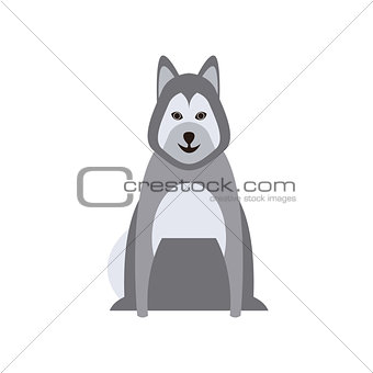 Malamute Dog Breed Primitive Cartoon Illustration