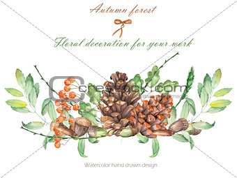 An illustration isolated with the floral watercolor forest elements (oak acorns, cones, rowan)