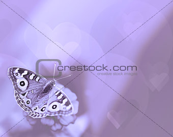 Purple butterfly and hearts card background