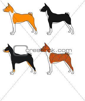 Vector set of dogs basenji breed , all colors