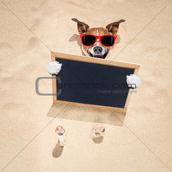 dog at the beach and banner