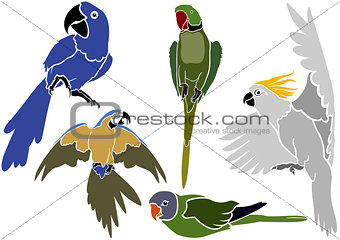 Set of Parrots Icons