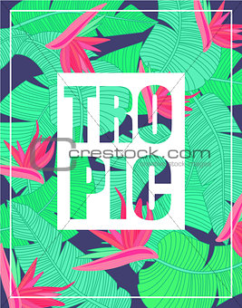 Square Logo With Text On Tropical Pattern Background
