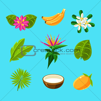 Tropical Plants And Fruits Collection