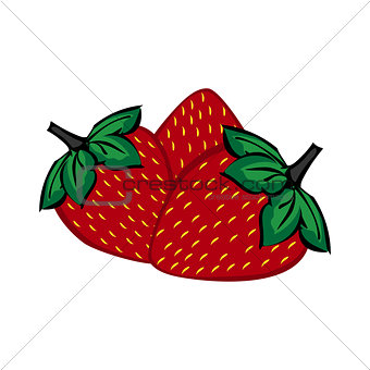Hand painted strawberry berries close up.