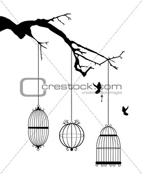 bird cages in the tree