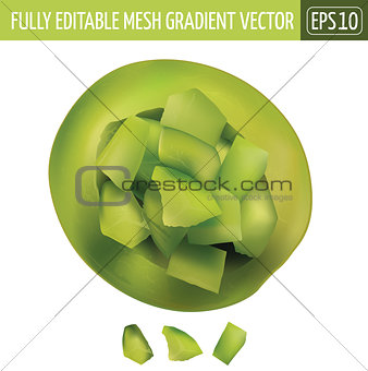 Green Melon Cut on White Background. Vector illustration