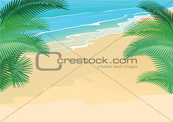 Summer, beach, palm trees