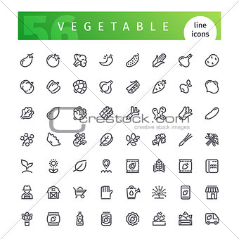 Vegetable Line Icons Set