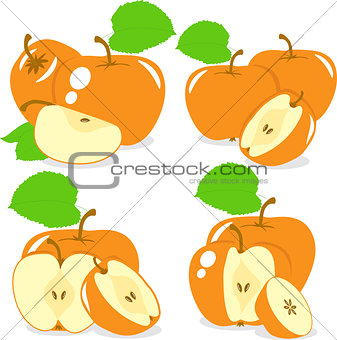 Orange color apples slices, collection of vector illustrations on a transparent background