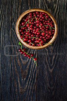 Fresh red currants