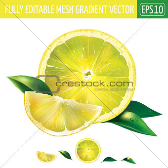 Lemon on white background. Vector illustration